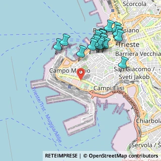 Mappa Via Vittorio Locchi, 34123 Trieste TS, Italia (1.004)