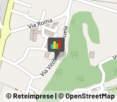 Camicie Capriolo,25031Brescia