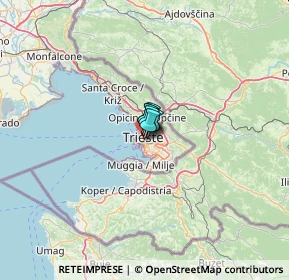 Mappa Piazza Edmondo Puecher, 34137 Trieste TS, Italia (31.21538)