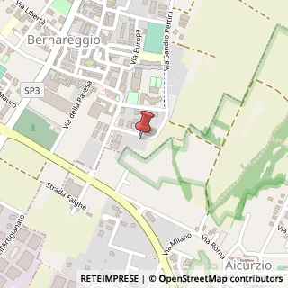 Mappa Via Michelangelo Buonarroti, 24, 20881 Bernareggio, Monza e Brianza (Lombardia)