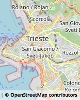 Gioiellerie e Oreficerie - Dettaglio Trieste,34137Trieste