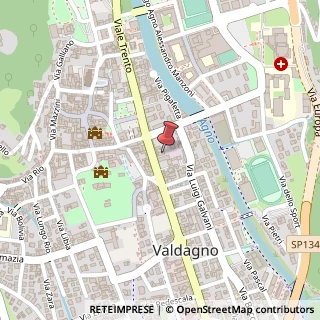 Mappa Viale Trento, 135, 36078 Valdagno, Vicenza (Veneto)