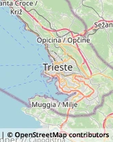 Associazioni di Volontariato e di Solidarietà Trieste,34143Trieste