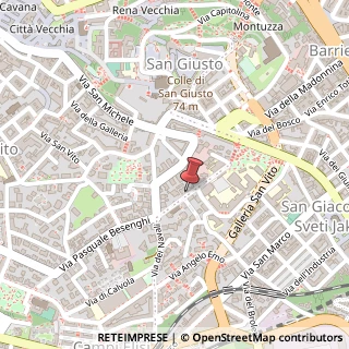 Mappa Via Pasquale Besenghi, 21, 34143 Trieste, Trieste (Friuli-Venezia Giulia)