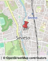 Via S. Fermo della Battaglia, 5,20822Seveso