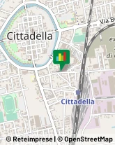 Via Borgo Musiletto, 35/A,35013Cittadella