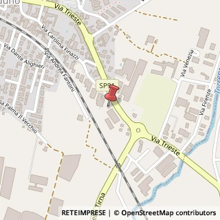 Mappa Via Trieste, 38, 24060 Chiuduno, Bergamo (Lombardia)