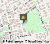 Complessi Musicali e Artistici,30027Venezia