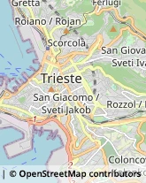 Frutta e Verdura - Dettaglio Trieste,34141Trieste