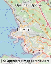 Frutta e Verdura - Dettaglio Trieste,34126Trieste