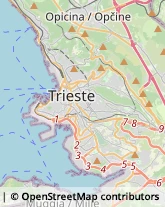 Farmacie Trieste,34128Trieste