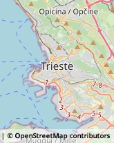 Pubblicità - Agenzie e Studi Trieste,34139Trieste