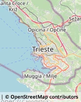 Agenzie Marittime Trieste,34144Trieste