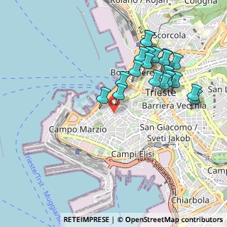 Mappa Via Giacomo Ciamician, 34123 Trieste TS, Italia (0.981)