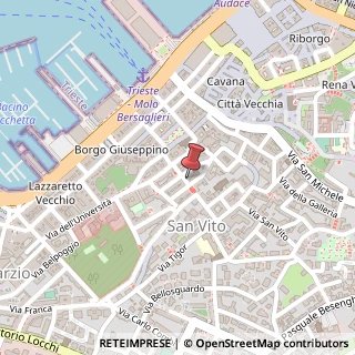 Mappa Via Giacomo Ciamician, 6, 34123 Trieste, Trieste (Friuli-Venezia Giulia)