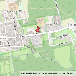 Mappa Via Piave, 154, 20815 Cogliate, Monza e Brianza (Lombardia)