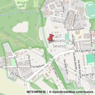 Mappa Via Giovanni Battista Grassi, 5, 20822 Seveso, Monza e Brianza (Lombardia)