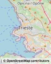 Sartorie Trieste,34144Trieste