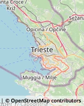 Sartorie Trieste,34144Trieste