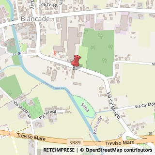 Mappa Via G. D'Annunzio, 138, 31056 Roncade, Treviso (Veneto)
