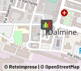 Associazioni di Volontariato e di Solidarietà Dalmine,24044Bergamo
