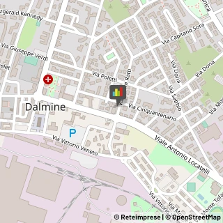 Locali, Birrerie e Pub Dalmine,24044Bergamo