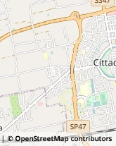 Assicurazioni Cittadella,35013Padova