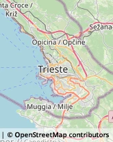 Case Editrici Trieste,34018Trieste