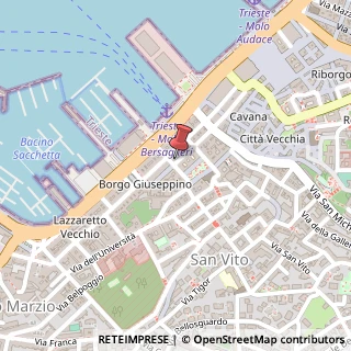 Mappa Via Armando Diaz, 21, 34124 Trieste, Trieste (Friuli-Venezia Giulia)