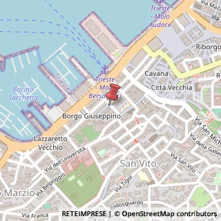 Mappa Via Armando Diaz, 22, 34124 Trieste, Trieste (Friuli-Venezia Giulia)