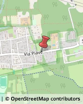 Via Piave, 144,20815Cogliate