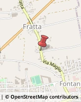 Via Fratta, 1,35014Fontaniva