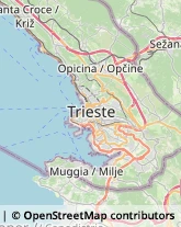 Autonoleggio Trieste,34149Trieste