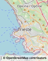 Autonoleggio Trieste,34143Trieste