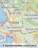 Amministrazioni Immobiliari Trieste,34128Trieste