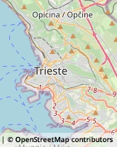 Amministrazioni Immobiliari Trieste,34141Trieste