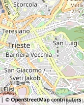 Via delle Milizie, 1,34100Trieste