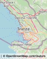 Profumerie Trieste,34121Trieste