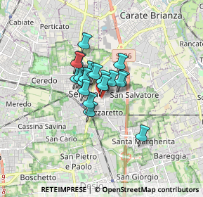 Mappa Via San Francesco, 20831 Seregno MB, Italia (0.9245)