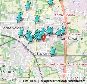 Mappa Via San Francesco, 20831 Seregno MB, Italia (0.798)