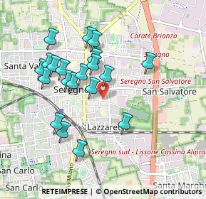 Mappa Via San Francesco, 20831 Seregno MB, Italia (0.877)