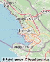 Abbigliamento Sportivo - Vendita Trieste,34144Trieste