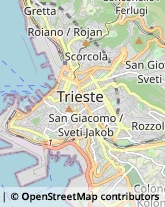 Trasporto Pubblico Trieste,34144Trieste