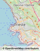 Trasporto Pubblico Trieste,34124Trieste