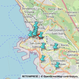 Mappa Via Gabriele Foschiatti, 34129 Trieste TS, Italia (1.34364)