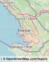 Studi Tecnici ed Industriali Trieste,34147Trieste