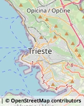 Locali, Birrerie e Pub Trieste,34126Trieste