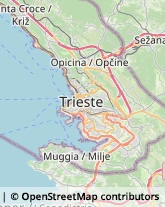 Istituti di Bellezza Trieste,30100Trieste