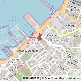 Mappa Via Armando Diaz,  19, 34124 Trieste, Trieste (Friuli-Venezia Giulia)