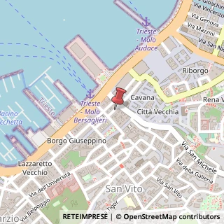 Mappa Via Armando Diaz, 13/B, 34124 Trieste, Trieste (Friuli-Venezia Giulia)